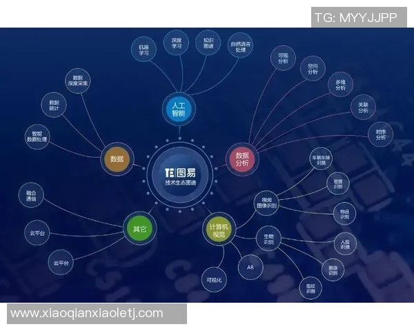 南京羽毛球队运动员个人能力分析与表现评估研究